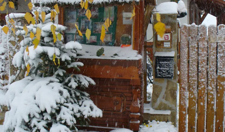 Kaktusz Villa H�v�z - P�nk�sd (min. 2 �j)