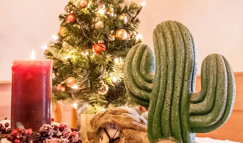 Kaktusz Villa H�v�z - P�nk�sd (min. 2 �j)