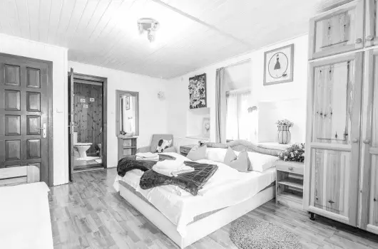 Kaktusz Villa - Pnksd