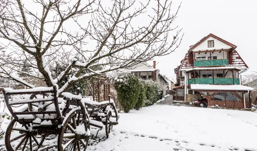 Kaktusz Villa H�v�z - P�nk�sd (min. 2 �j)