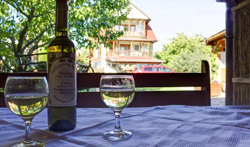 Kaktusz Villa H�v�z - P�nk�sd (min. 2 �j)