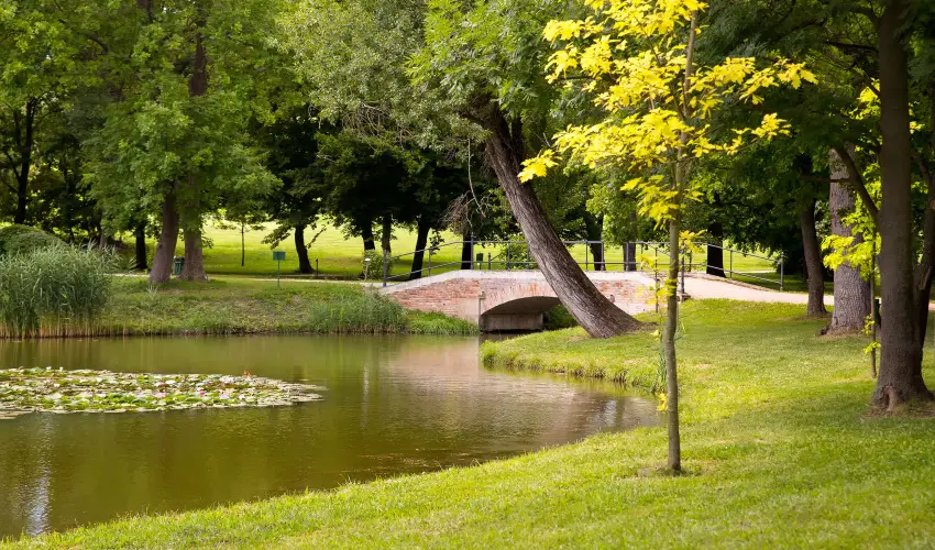 Krolyi Kastly Hotel & Restaurant  Fehrvrcsurg - Pnksd - specilis elrefizetssel