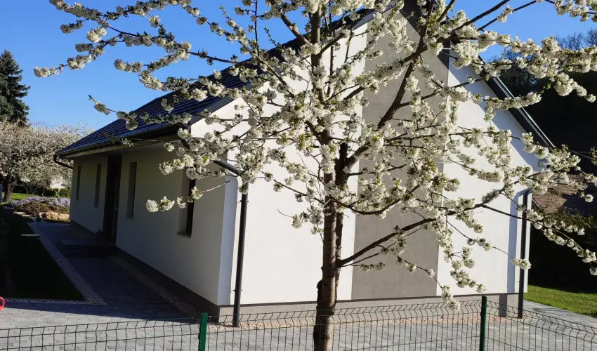 Kat�ng Vend�gh�z Tardos - P�nk�sd