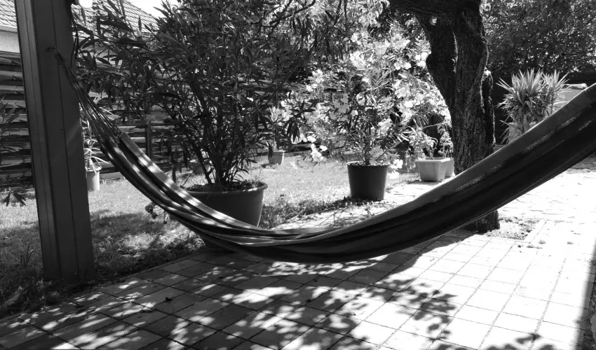 K�kmad�r Vend�gh�z Homokm�gy - P�nk�sd