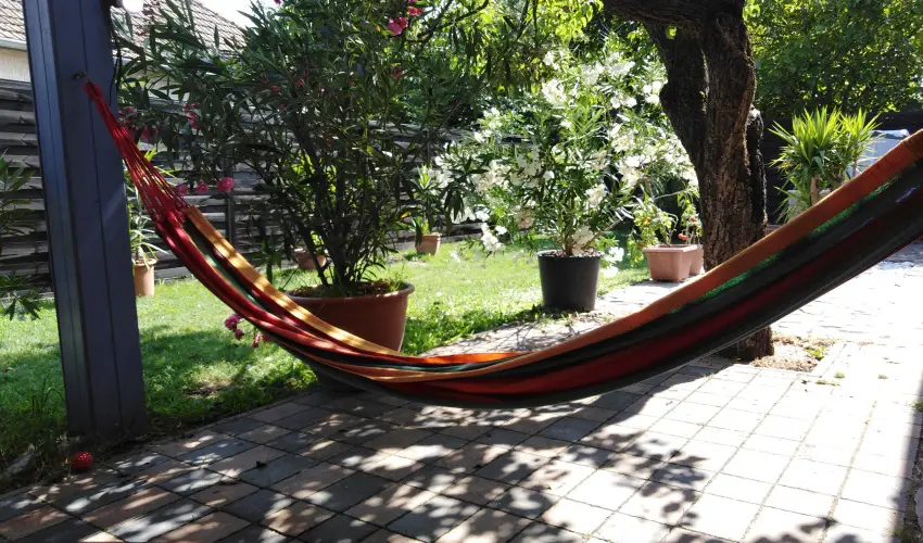 Kkmadr Vendghz Homokmgy - Pnksd