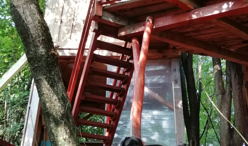 Kerca Bio Farm Kercaszomor - Pnksd (min. 2 j)