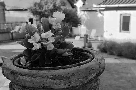 Kiskilenc Vend�gh�z - P�nk�sd (min. 2 �j)