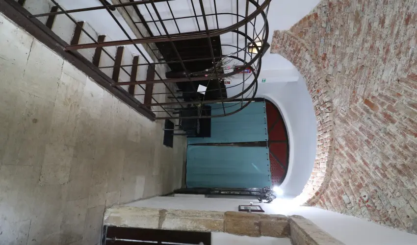 K�bor Macska Fogad� K�szeg - P�nk�sd