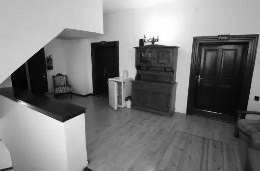 K�bor Macska Fogad� - P�nk�sd
