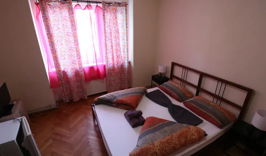 K�bor Macska Fogad� K�szeg - P�nk�sd