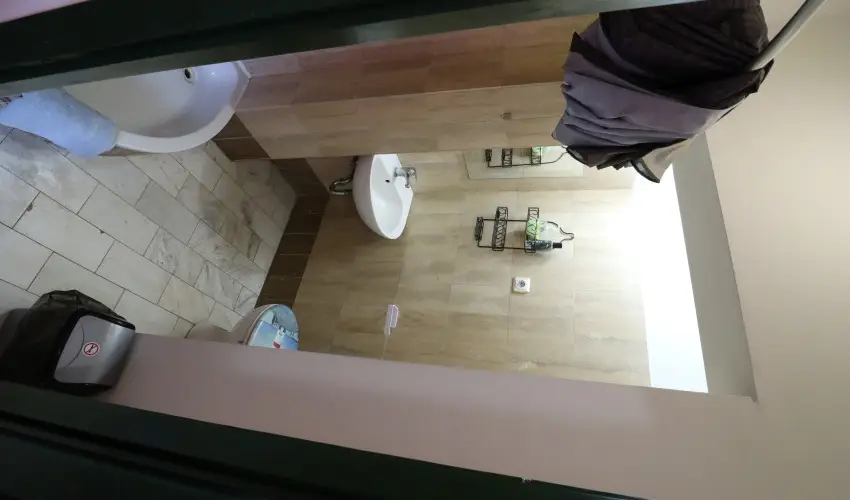 K�bor Macska Fogad� K�szeg - P�nk�sd
