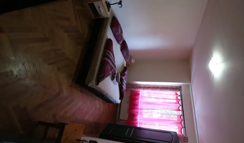 K�bor Macska Fogad� K�szeg - P�nk�sd