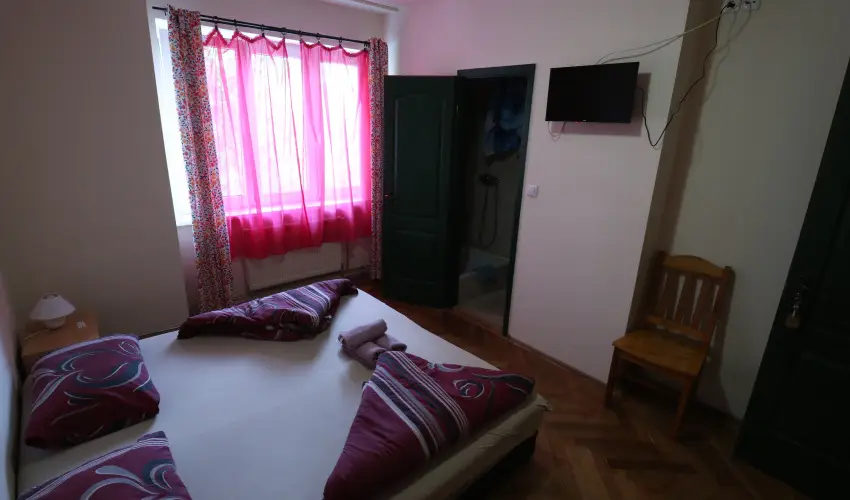 K�bor Macska Fogad� K�szeg - P�nk�sd