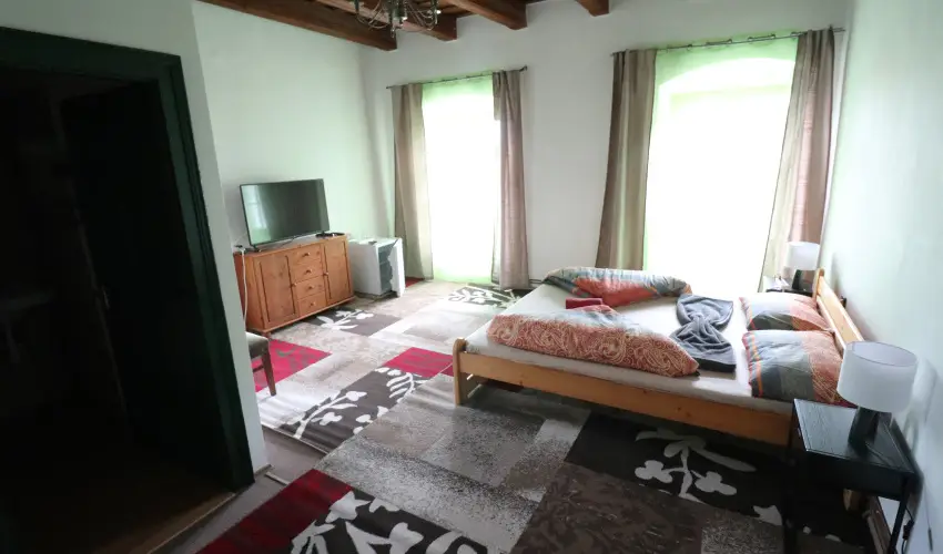 K�bor Macska Fogad� K�szeg - P�nk�sd