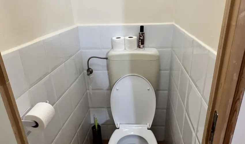K�bor Macska Fogad� K�szeg - P�nk�sd