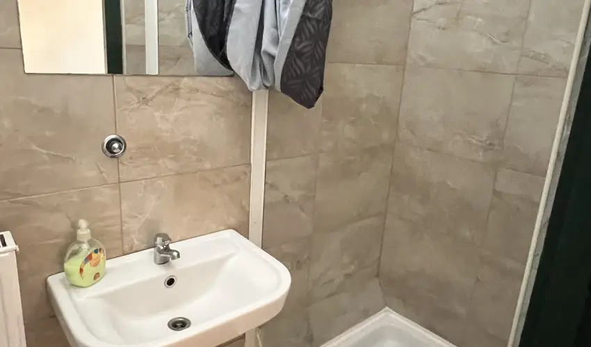 K�bor Macska Fogad� K�szeg - P�nk�sd