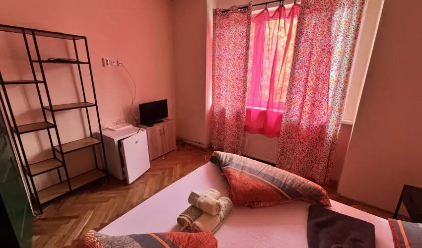K�bor Macska Fogad� K�szeg - P�nk�sd