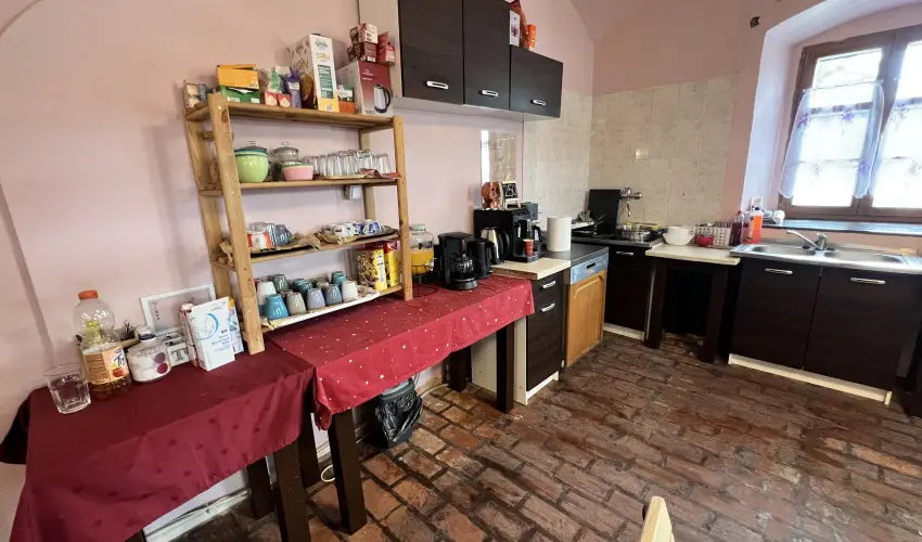 K�bor Macska Fogad� K�szeg - P�nk�sd