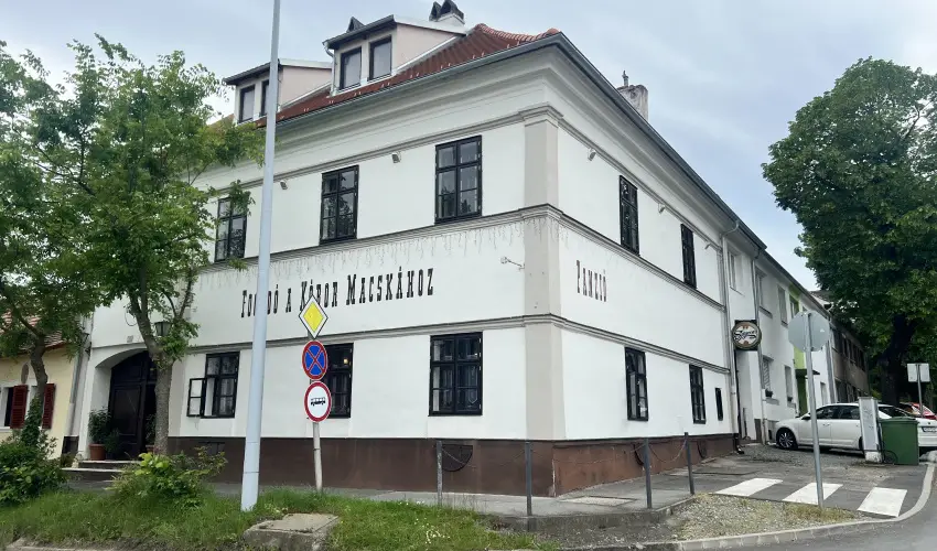 K�bor Macska Fogad� K�szeg - P�nk�sd
