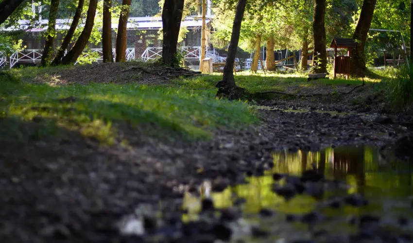 Kkapu Vadszkastly s Hotel & Apartments Nagyhuta - Pnksd (min. 2 j)