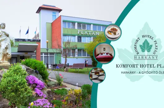 Komfort Hotel Plat�n - P�nk�sd 