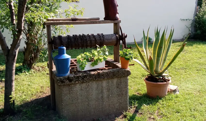 Krs Vendghz Szarvas - Pnksd (min. 2 j)