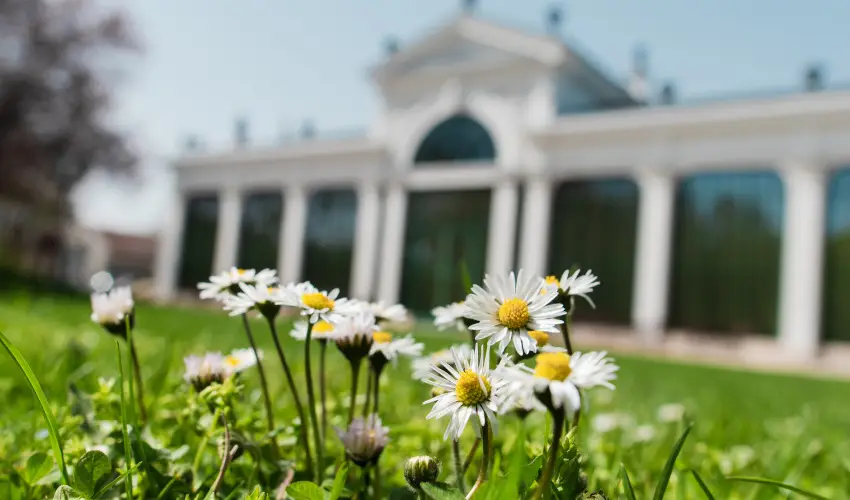 Kristly Imperial Hotel Tata - Pnksd