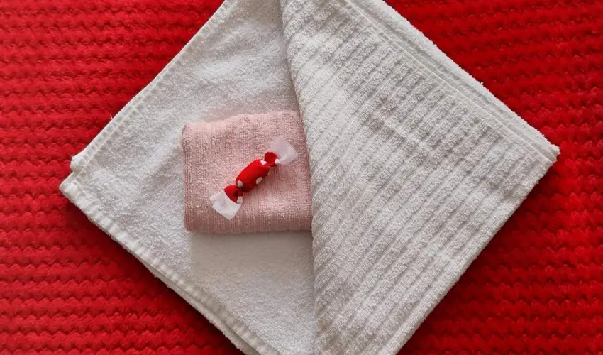 Lank�s Vend�gh�z Holl�k� - P�nk�sd