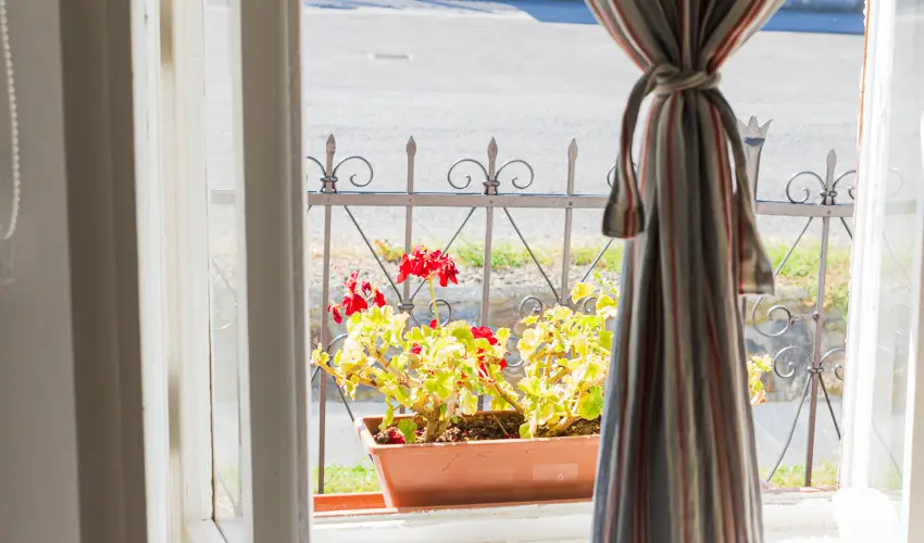 Lank�s Vend�gh�z Holl�k� - P�nk�sd