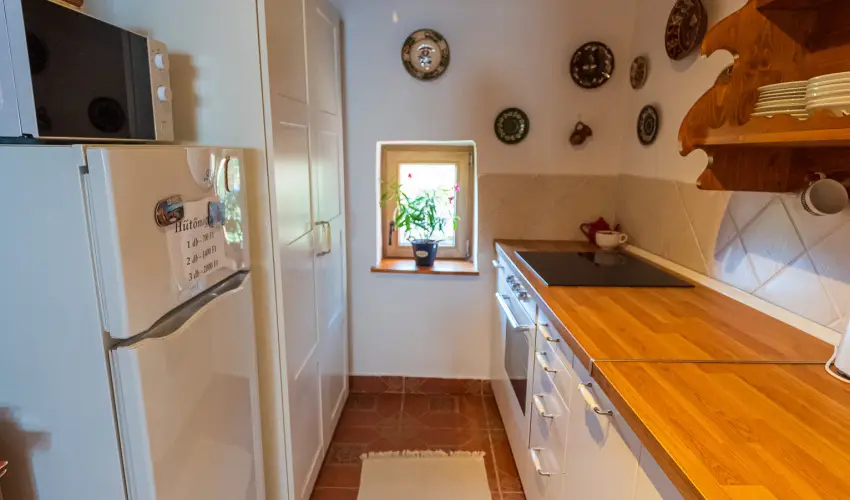 Lank�s Vend�gh�z Holl�k� - P�nk�sd