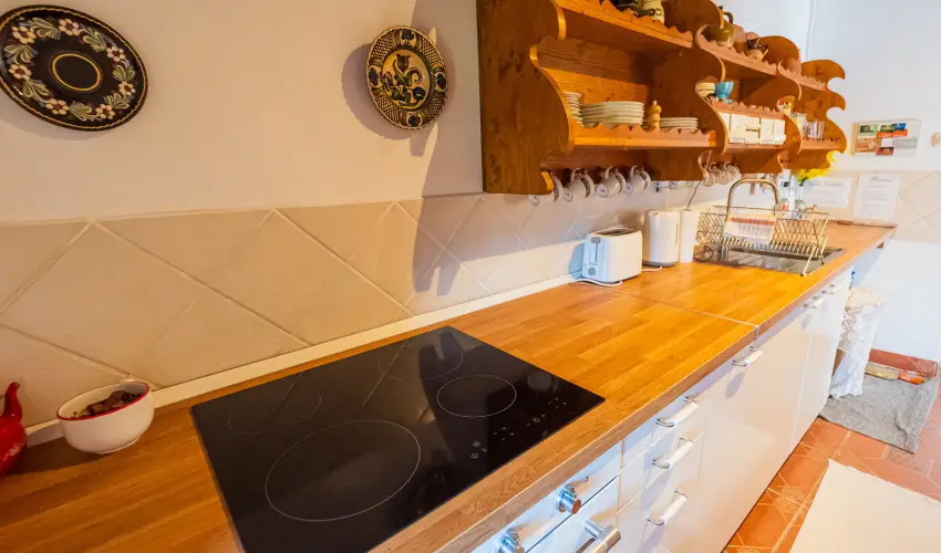 Lank�s Vend�gh�z Holl�k� - P�nk�sd