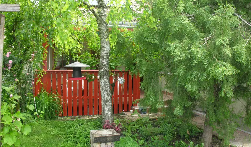 Lelkeshz Szarvas - Pnksd 