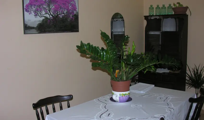 Lelkeshz Szarvas - Pnksd 