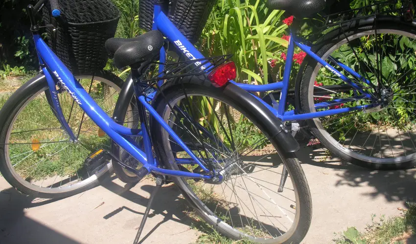 Lelkeshz Szarvas - Pnksd 