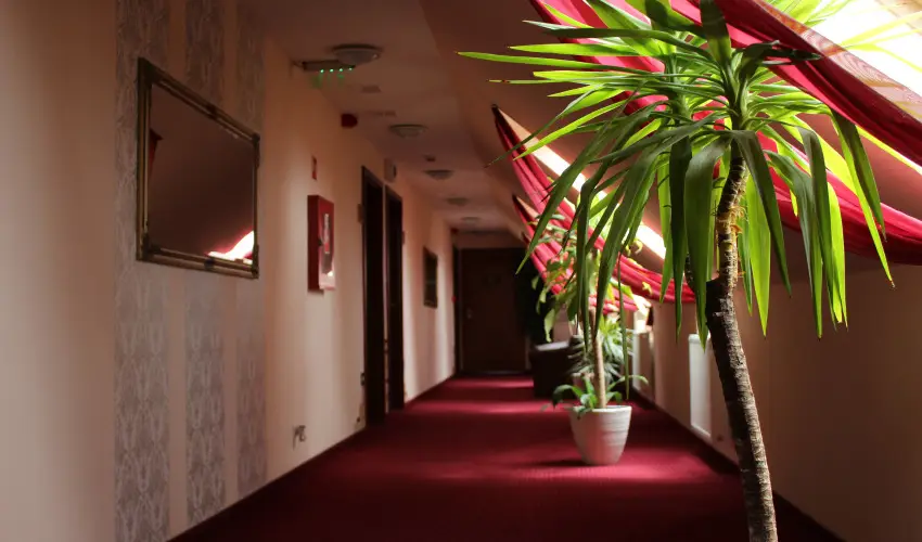 Libra Hotel Veresegyh�z - P�nk�sdi lazul�s a Libr�ban (1 �jt�l)