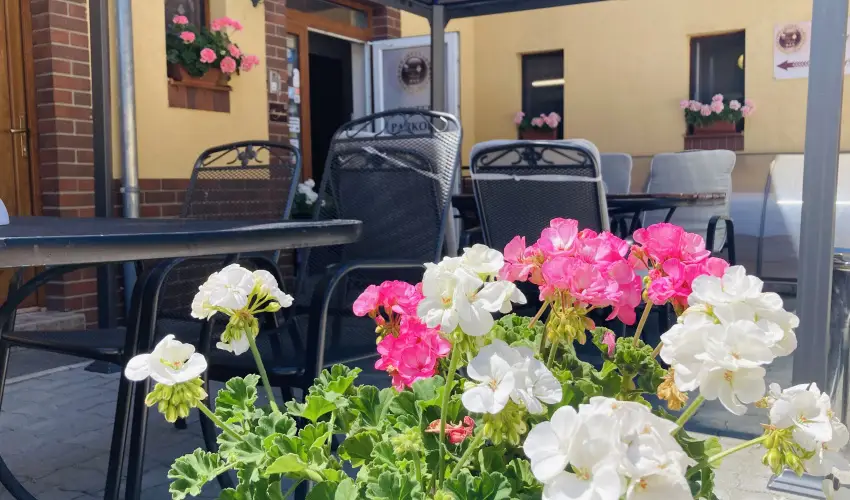 Libra Hotel Veresegyh�z - P�nk�sdi lazul�s a Libr�ban (1 �jt�l)