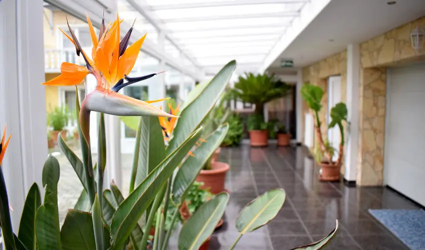 Ldia Hotel Harkny Harkny - Pnksd (min. 2 j)