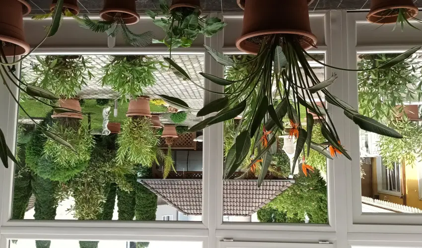 Ldia Hotel Harkny Harkny - Pnksd (min. 2 j)