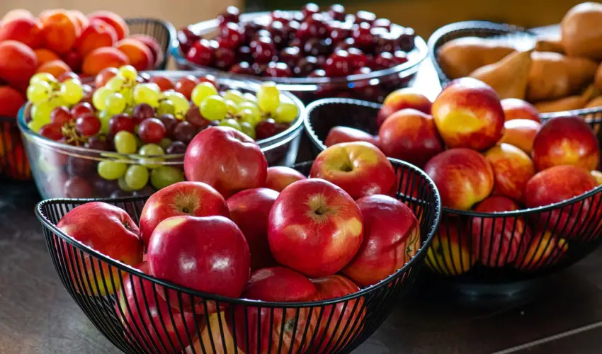 Lifestyle Hotel Mtra Mtrahza - Pnksd