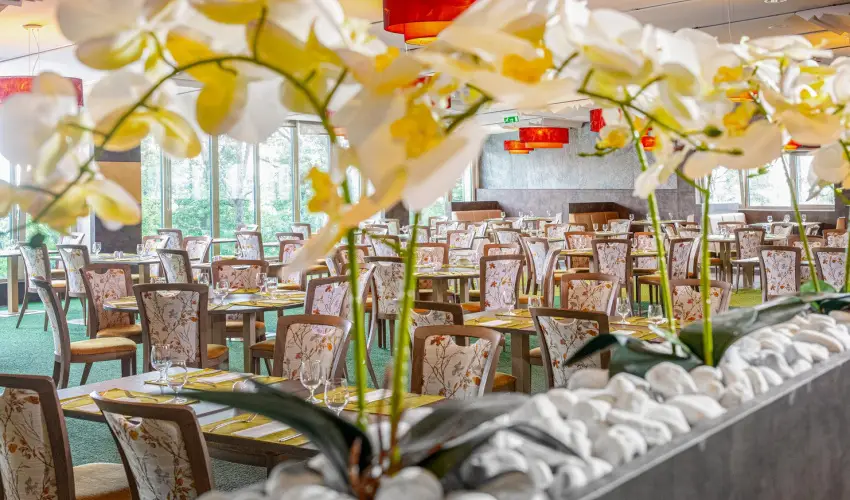 Lifestyle Hotel Mtra Mtrahza - Pnksd