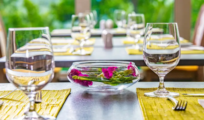 Lifestyle Hotel Mtra Mtrahza - Pnksd