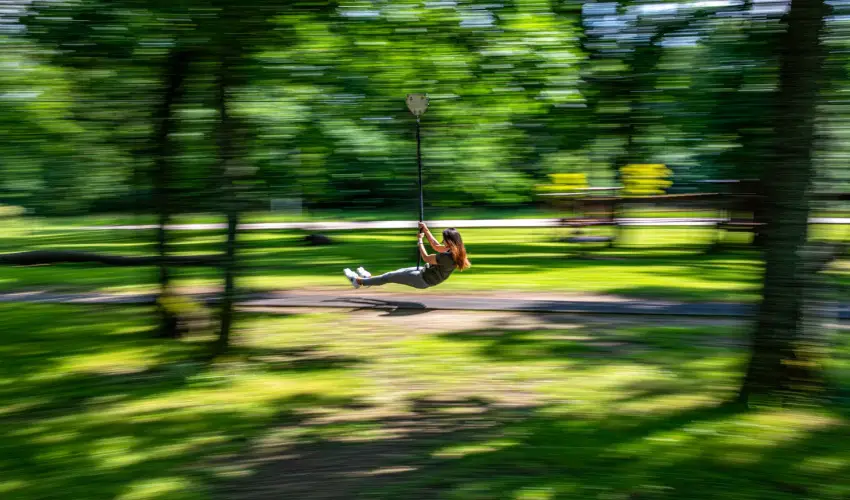 Lifestyle Hotel Mtra Mtrahza - Pnksd