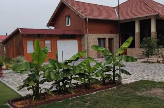 Lilla Apartmanh�zak - P�nk�sd (min. 2 �j)