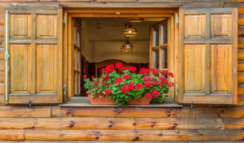 Lipicai Hotel Szilvsvrad - Pnksd (min. 3 j)