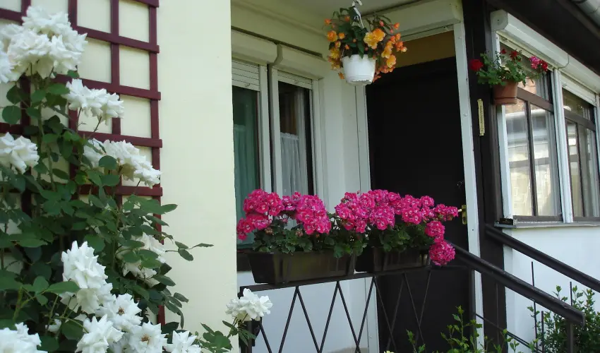 Liza Apartman Gyula - Pnksd (min. 2 j)