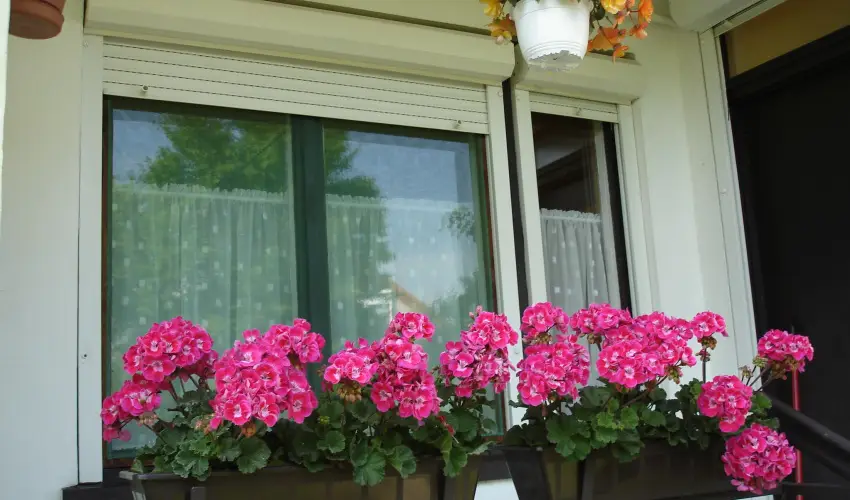 Liza Apartman Gyula - Pnksd (min. 2 j)