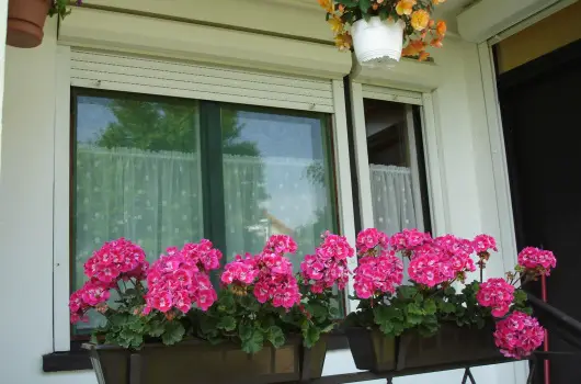 Liza Apartman - Pnksd (min. 2 j)