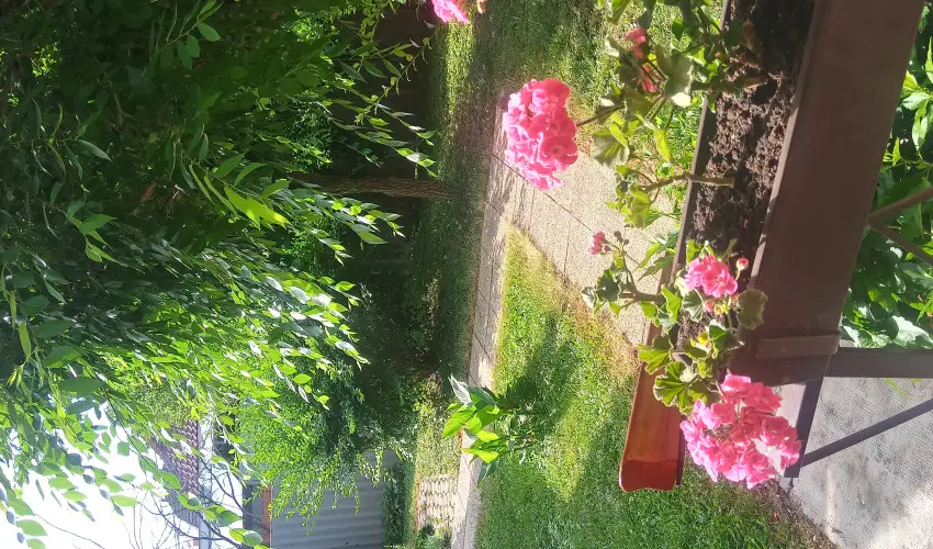 Liza Apartman Gyula - Pnksd (min. 2 j)