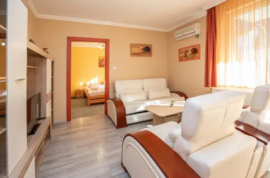 Major Panzi & tterem - Pnksd