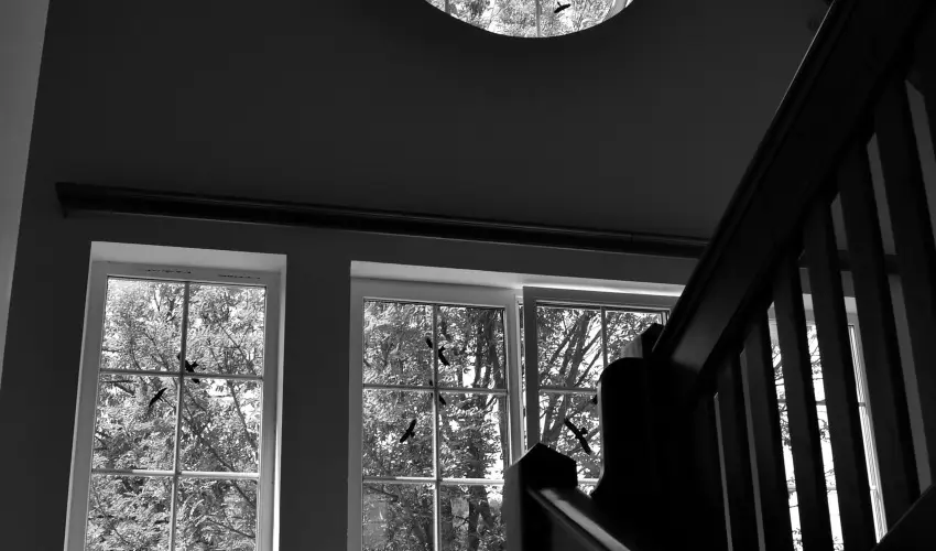 Malomkert Hotel Nagyb�rzs�ny - P�nk�sd (min. 2 �j)